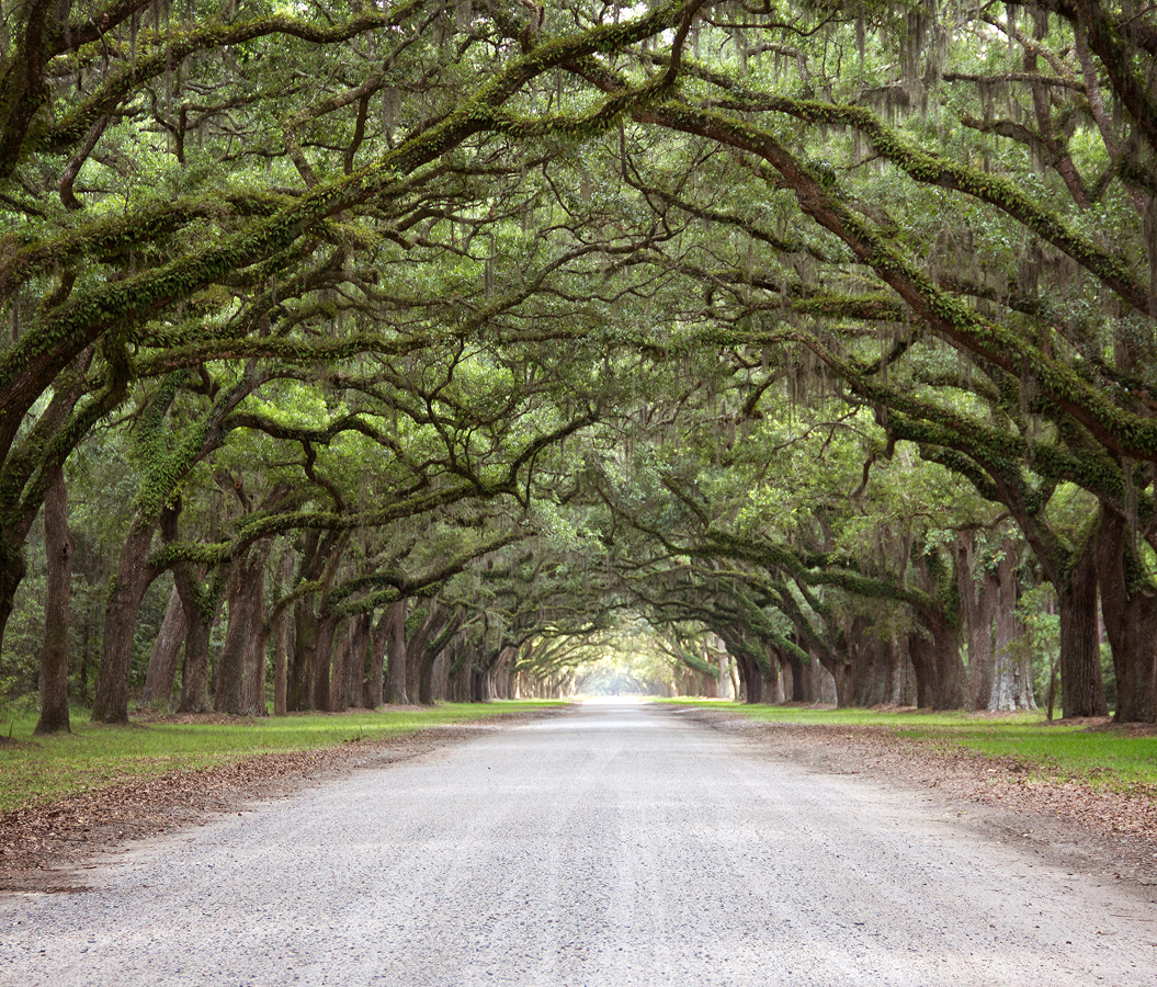 Best places to stay in Savannah