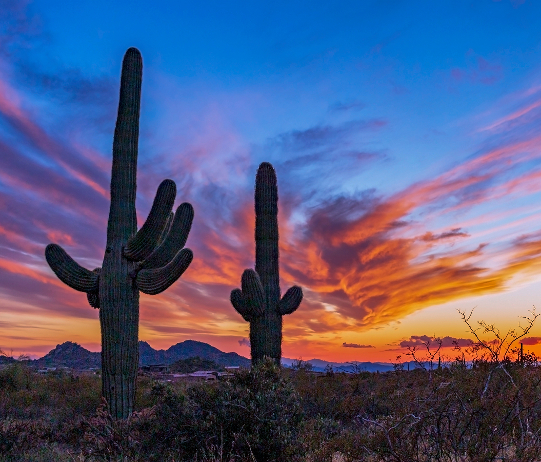 Best places to stay in Scottsdale