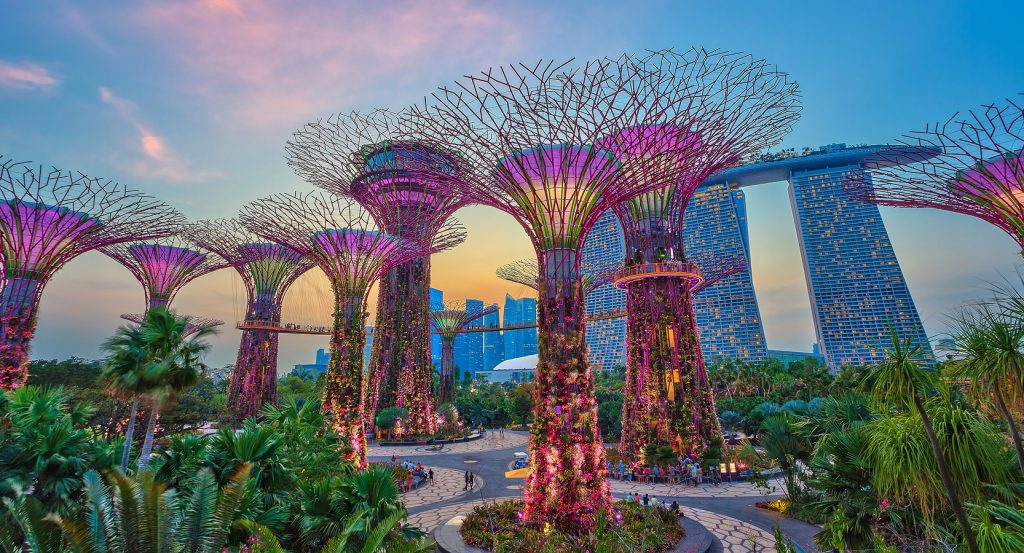 Gardens by the Bay’s Supertree Grove glowing at sunset with Marina Bay Sands in the background, Singapore