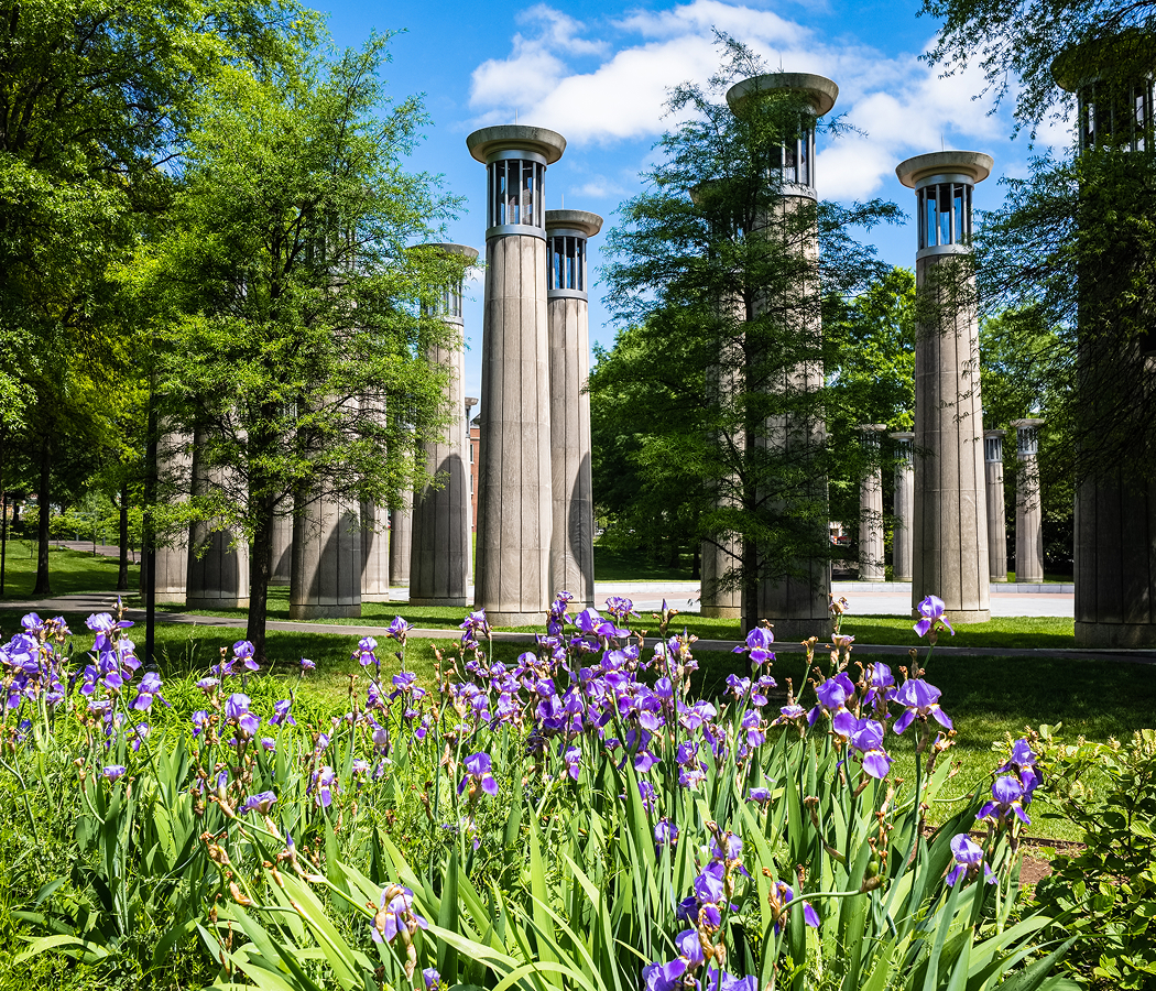 5 fascinations about Nashville