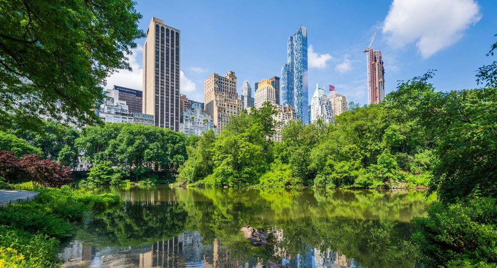 Gapstow Bridge over The Pond in Central Park surrounded by trees