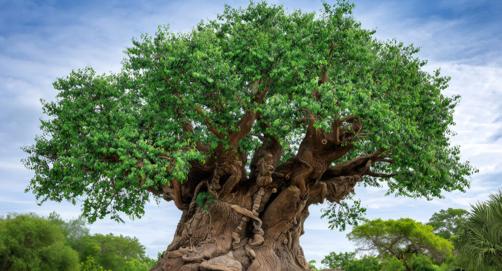 Bioluminescent-inspired landscape of Pandora at Animal Kingdom in Orlando