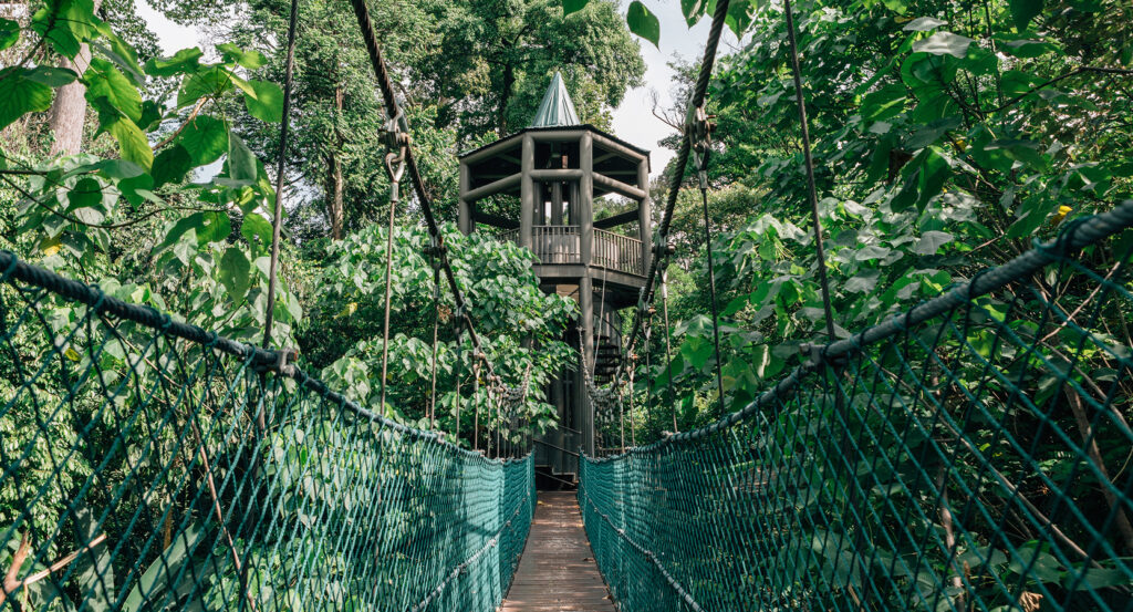 Viewing tower at Bukit Nanas Forest Reserve in Kuala Lumpur