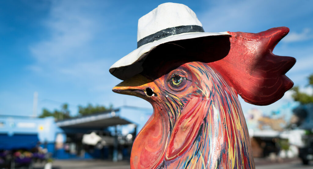 Street view of Calle Ocho Walk of Fame with murals and cultural landmarks in Miami