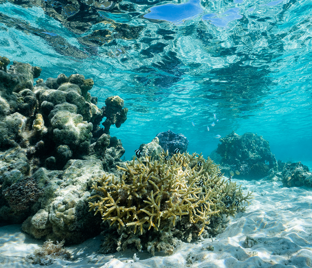 5 fascinations about Bora Bora