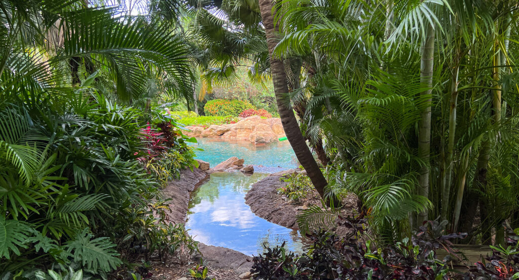 Visitors swimming with dolphins in the clear waters at Discovery Cove in Orlando