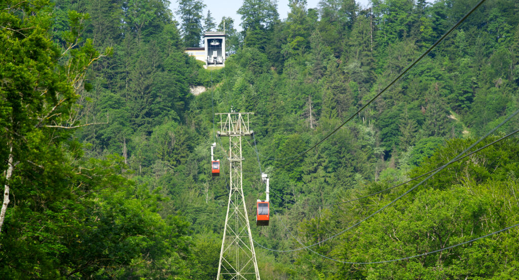 Scenic mountaintop view from Felsenegg overlooking Zurich and Lake Zurich