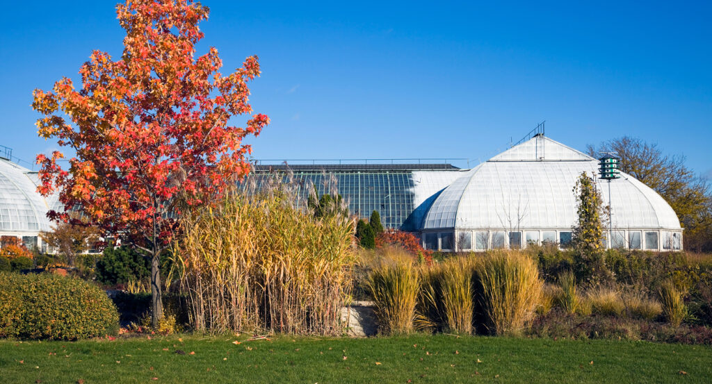 Interior garden view of Garfield Park Conservatory with lush tropical plants