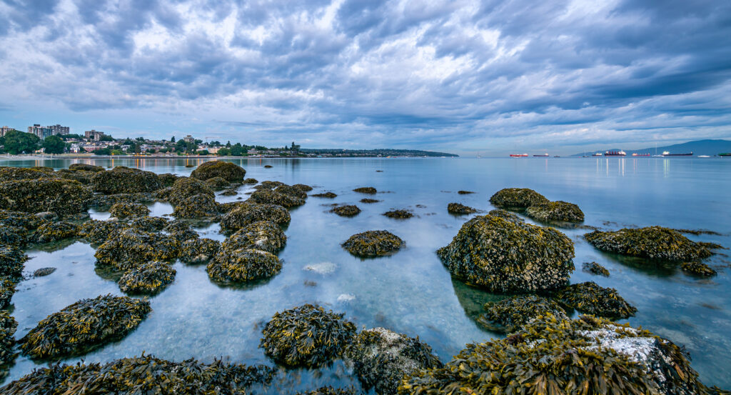 View of Kitsilano Beach with mountains and city skyline