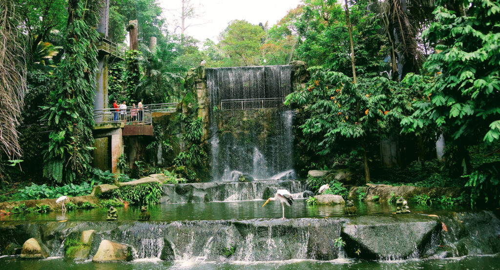 Free-flight aviary scene in KL Bird Park surrounded by tropical foliage