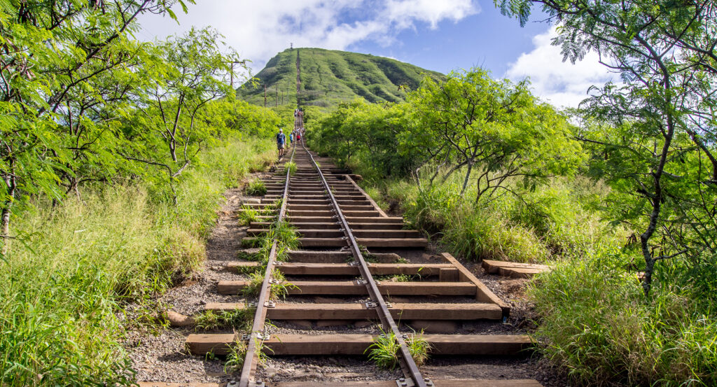 Steep Koko Crater hike framed by greenery in Honolulu