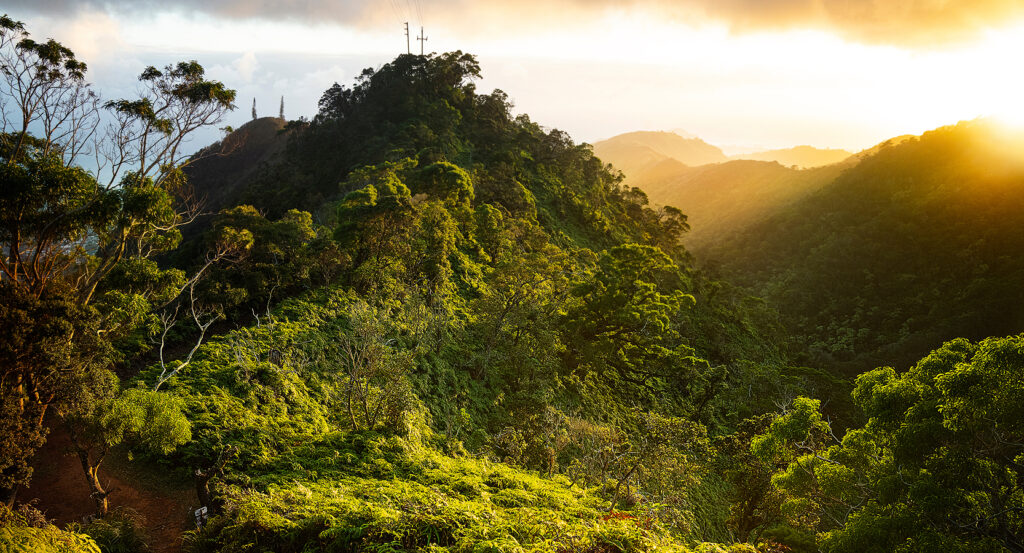 Koolau Range ridges covered in lush green forest on Oahu