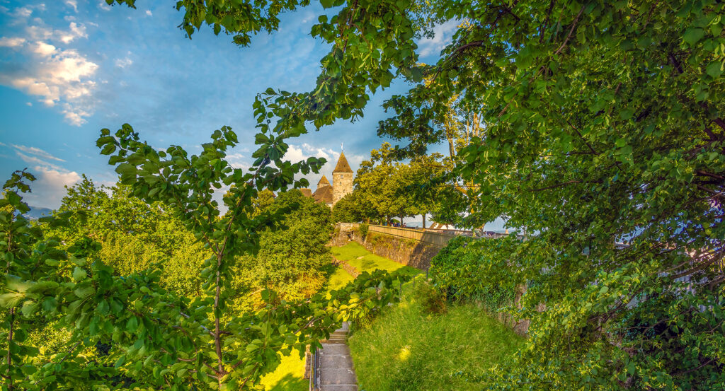 Lindenhof Hill greenery overlooking Zurich cityscape