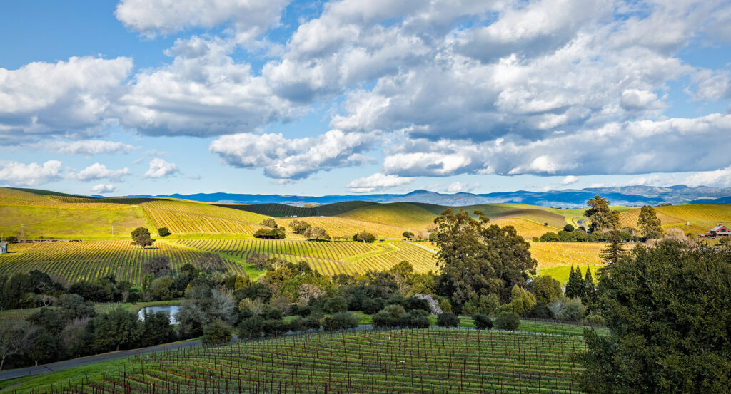 Scenic drive on Silverado Trail with vineyards under dramatic skies