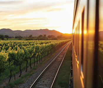 Scenic view from the Napa Valley Wine Train passing through vineyards at golden hour.