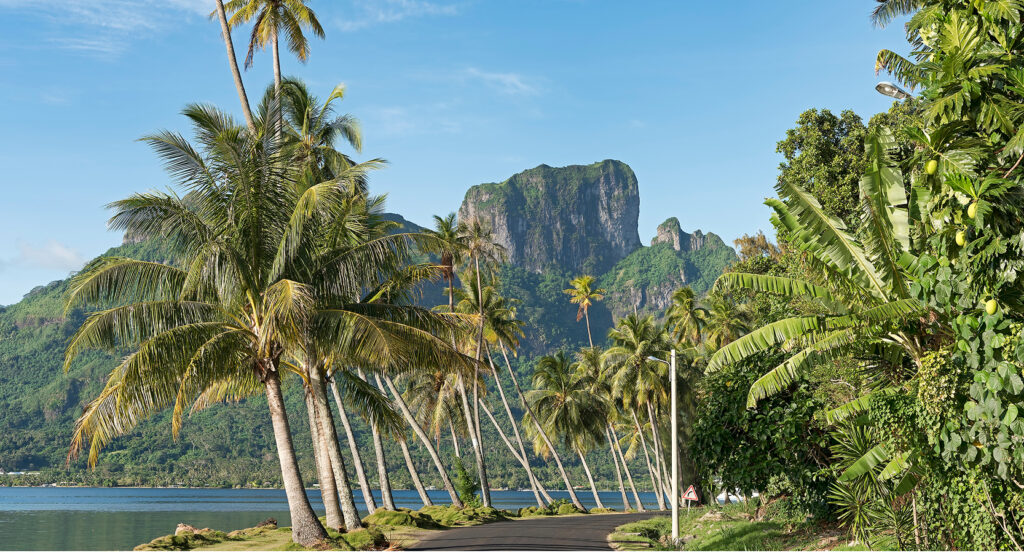 Scenic view of Pofai Bay's shoreline and leaning palms in Bora Bora