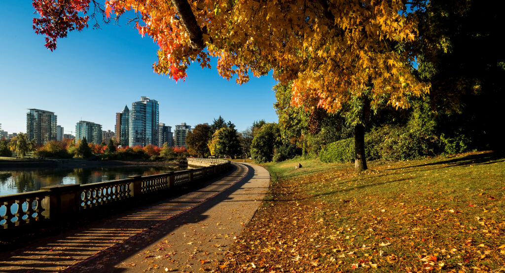 Autumn leaves and walking path in Stanley Park, Vancouver