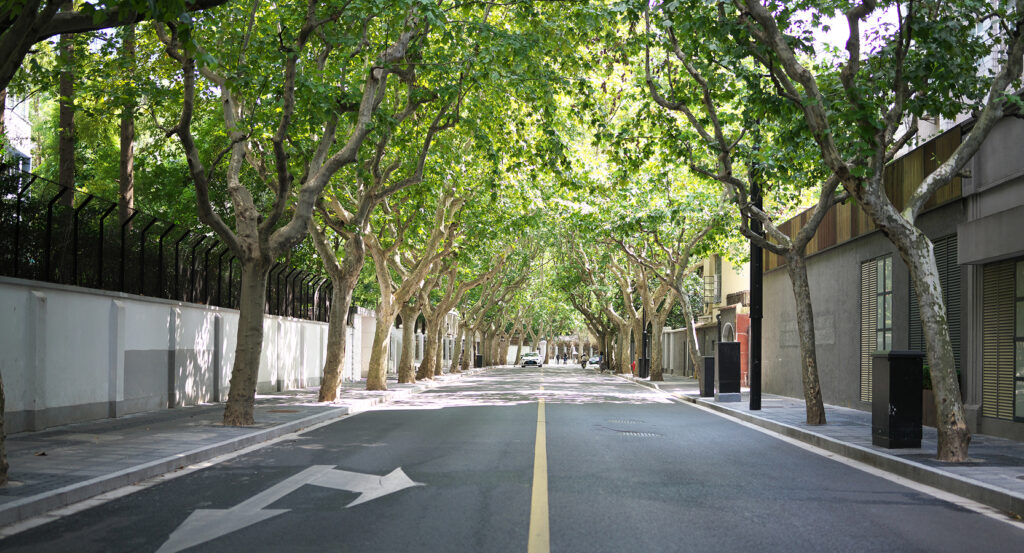 Shady lane in Shanghai's French Concession with historic villas
