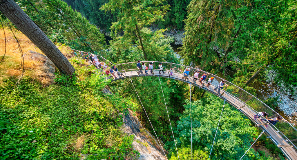 Cliffwalk at Capilano Suspension Bridge Park with forest views