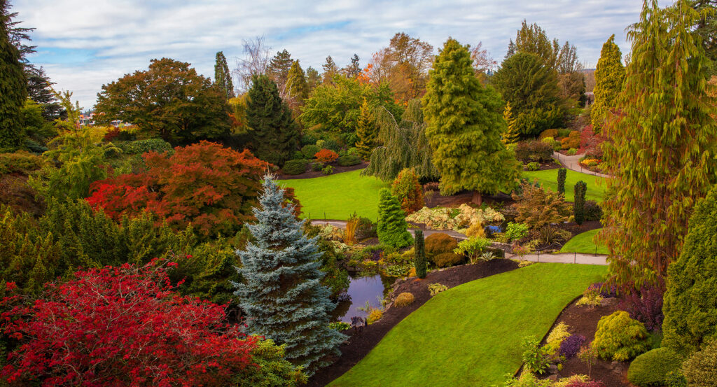 Queen Elizabeth Park in Vancouver with landscaped greenery and fall colors