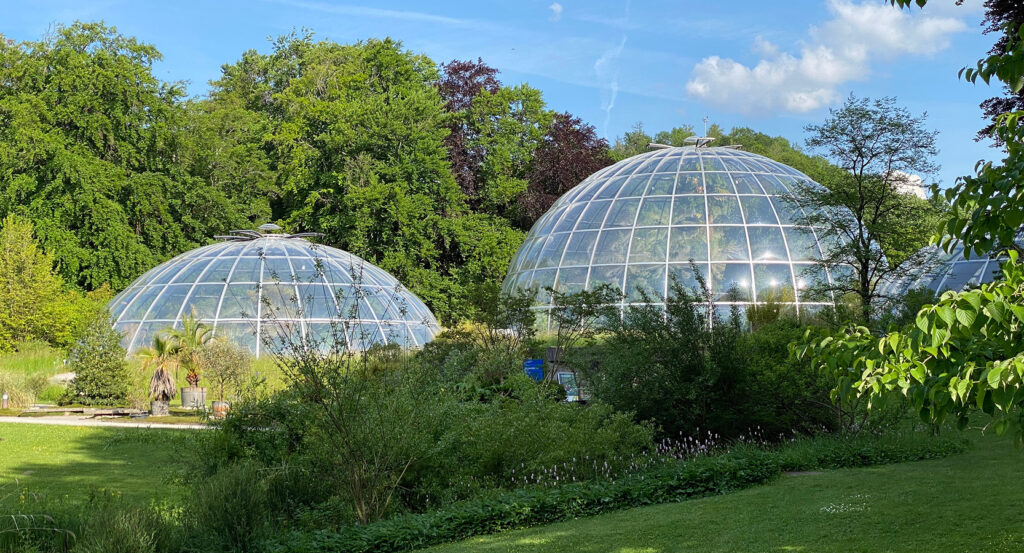 Zurich Botanical Garden glasshouses with tropical plants inside
