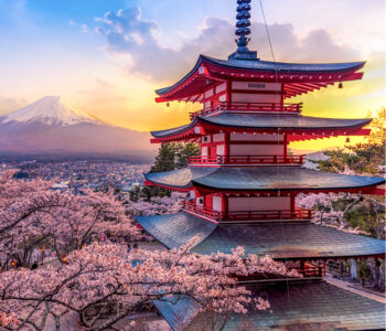 Chureito Pagoda at sunrise with cherry blossoms framing Mount Fuji in the distance.