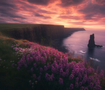 Cliffs of Moher at sunset with glowing pink clouds above wildflower-covered coastal cliffs and the Atlantic below.