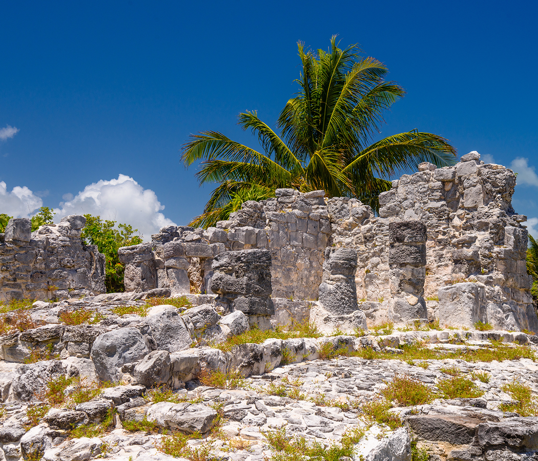 El Rey Archaeological Zone
