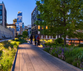 High Line at dusk with illuminated walkways, greenery, and Hudson Yards skyscrapers in the background.