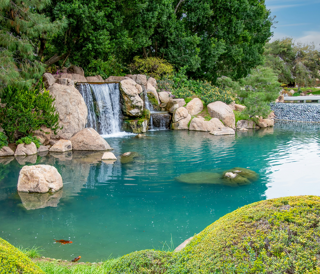 japanese-garden-phoenix.jpg
