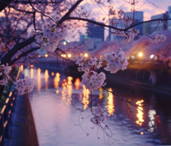 Cherry blossoms glowing over the Nakameguro canal at dusk with lantern reflections in the water.