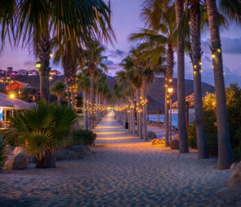 Palm-lined beach walkway in Punta Cana at dusk with warm string lights overhead.