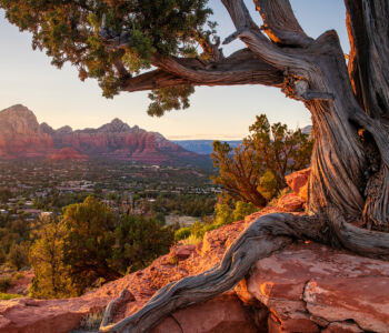 Red rock formations and desert landscape in Sedona