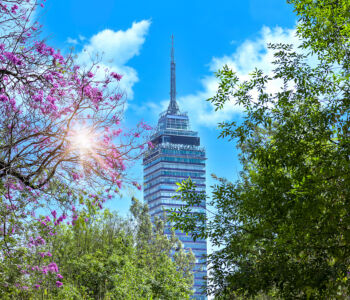 Torre Latinoamericana framed by trees in central Mexico City
