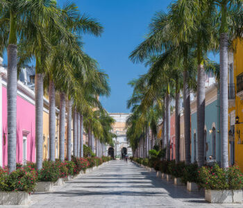 Palm-lined street with colorful colonial buildings in Valladolid near Cancun.
